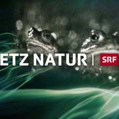 HII – Netz Natur goes Herre II