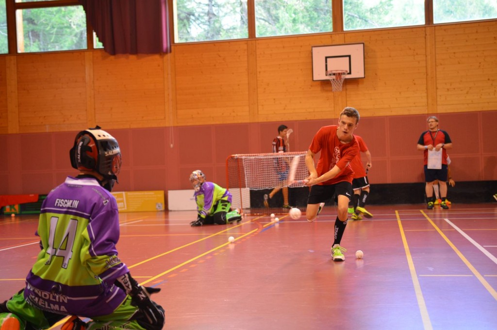 Lieblingsbeschäftigung: Training mit Stock und Ball in der Halle